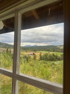 Peaceful cabin with secluded location - 1