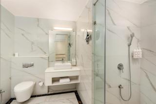 Park Inn by Radisson New Delhi IP Extension - 3