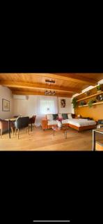 House in the foothills of the Ore Mountains RÁJOV - - 7