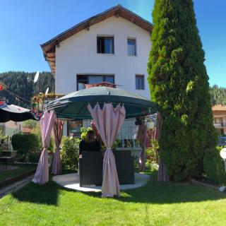 Niya Guest House - 0