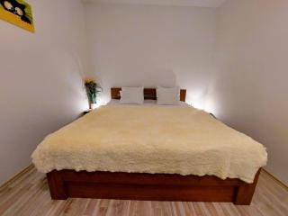 Apartment ČSA #5 in the Historic Center Hradec Králové - 6