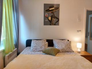 Apartment ČSA #5 in the Historic Center Hradec Králové - 1