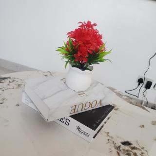 BB Homes luxury - 5