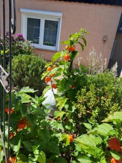 Vintage-Domizil Augustina - 5