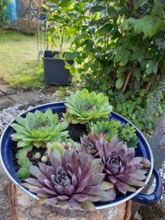 Vintage-Domizil Augustina - 3