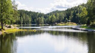 Child-friendly and close to nature - 2