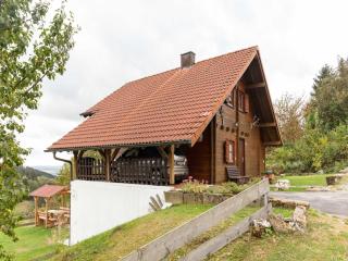 Holzferienhaus in Hinterrod mit Sauna - Einsiedel - 4