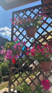 Appartamento Elena - 1