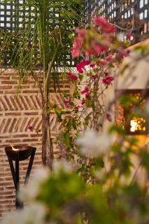 Riad Miloud en exclusivité 10 P au cœur de la Médina - 7