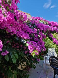 Charmante Villa de vacances - 9