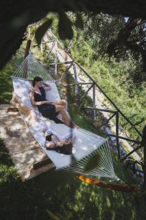 Tenuta Olive Alive - 5