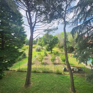 Esperienza d'altri tempi, Bologna - 0