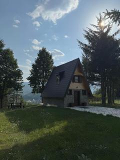 Mala Vila Sofija - Mojkovac - 9