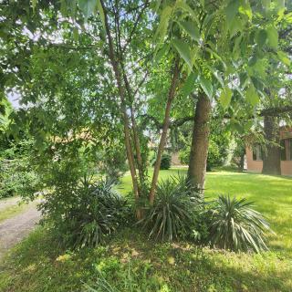 Esperienza d'altri tempi, Bologna - 9