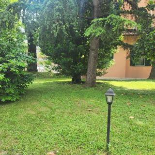 Esperienza d'altri tempi, Bologna - 3