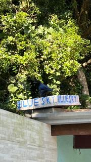 Pousada com café da manhã, piscina, natureza, sossego no Norte da Ilha, Ingleses - 3