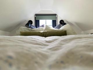 Tiny guesthouse with cozy mezzanine sleeping nook - Swinderby - 9