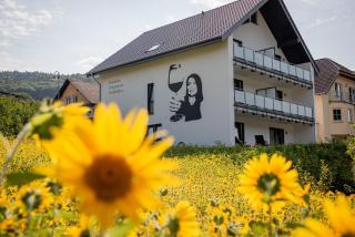 Genießen- Entspannen- Wohlfühlen-Komfortable Ferienwohnungen - Weingut Erich Serwazi - Mesenich - 9