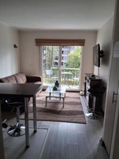 Refugio de Paz y Naturaleza en Pucón - 2