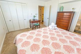 Wellington 3BR with Direct Oceanfront View - Pool! - 2