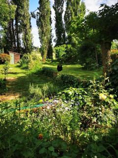 Les Millères, Le studio Cosy - Villemur-sur-Tarn - 2