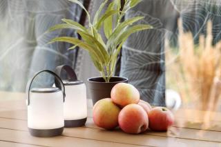 40570-Juelsminde-Pot-Strandby-355 - 5