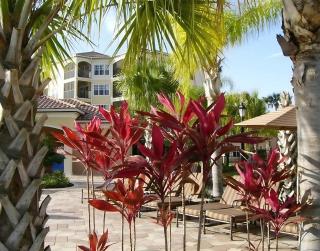 Luxury 3-bed Condo Near Disney Worldquest Resort - 0