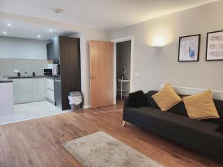 Luxury City Apartment in JQuarter Birmingham - 9