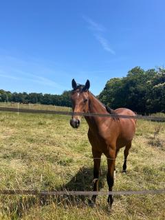 Ty Kerguen - A l'abri du temps, Route de l'Ocean - 9