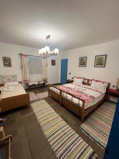 Casa Radu - Zece Hotare - 1
