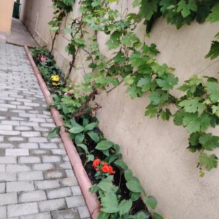 Cazare Clara Cluj - 9