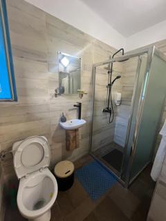 Casa Radu - Zece Hotare - 4