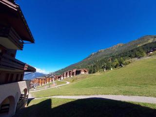 Valmorel, 2 pièces au pied des pistes avec terrasse, cuisine équipée et animaux admis - FR-1-356-318 - Valmorel - 2