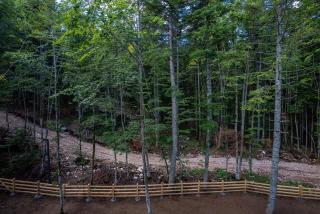 Apartment Aveline - 5