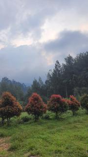 KL villa - 9