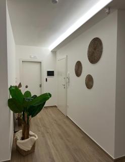 Stella Marina - 4