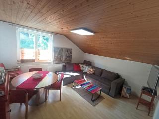 Moderne große Ferienwohnung Kirchberg-Schönberg Bayerischer Wald 1-8 Personen - Schönberg - 0