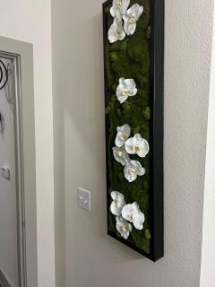 1bed loft - Houston - 1