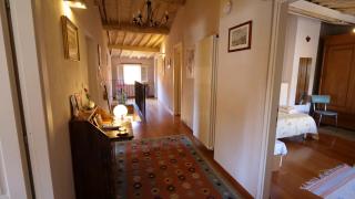 da Francesco rooms - Lucca - 0