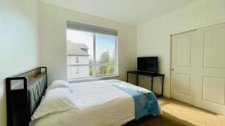 Renovated Apartment -with Stunning Windows - 3