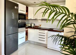 Casa Flamingo - Ciudad Quesada - 6