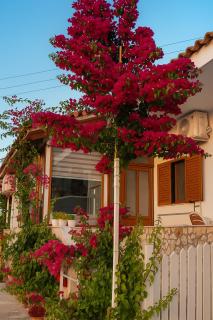 Luxury Dennis Home - Saranda - 9