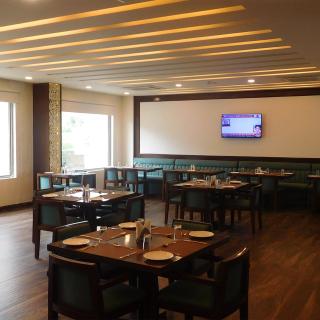 Hotel Nysha Delhi Airport - 9