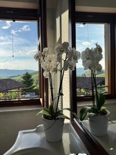 Agriturismo Rio Sordo - Barbaresco - 7
