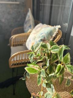 Modern Farmhouse - 3