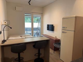 Compact apartment in the center of Kaunas - 0