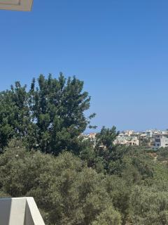 Nature spacious apt, 2km from Chania old town, private parking - 3