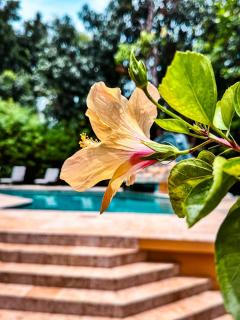 Caribbean Shores Belize - Hopkins - 8