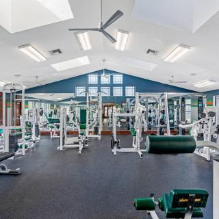 Spacious 4BR Retreat with pool & gym Near USF - 2