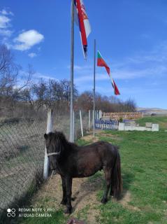 Etno Deša Apartmani - 6